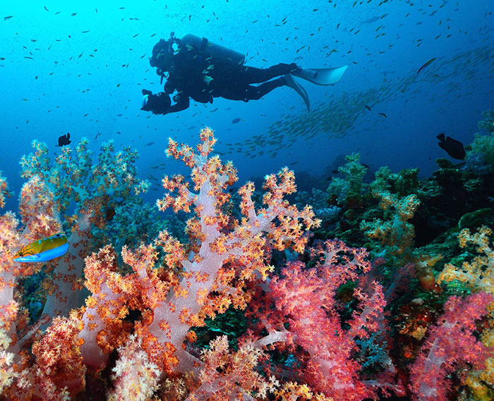 Similan and Surin Marine National Park