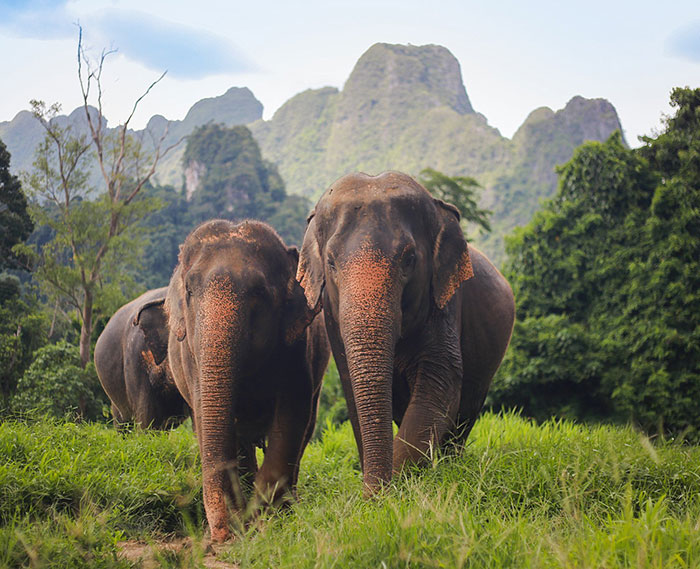 Khao Sok National Park