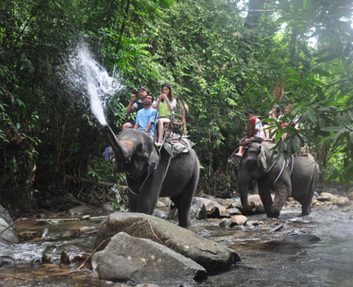 Khao Lak Local Safari